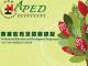 APED launches